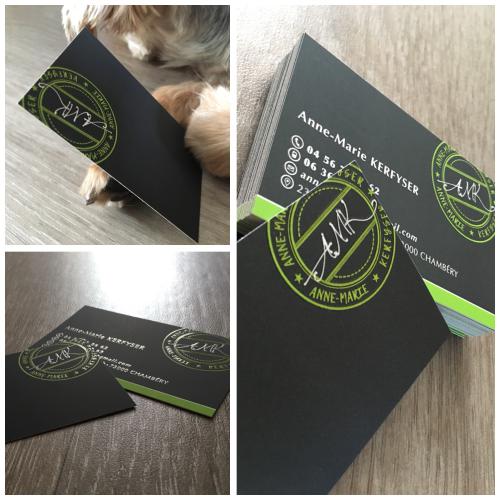 Création de l'identité visuelle pour un particulier : logo, cartes de visite avec vernis selectif & effet 3D...