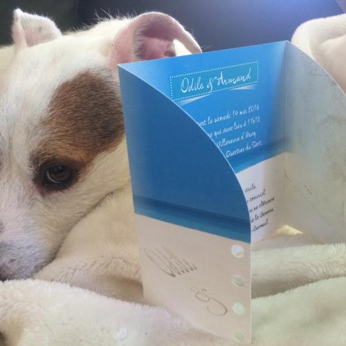 Faire-part de mariage avec forme de découpe ©fotolia.com